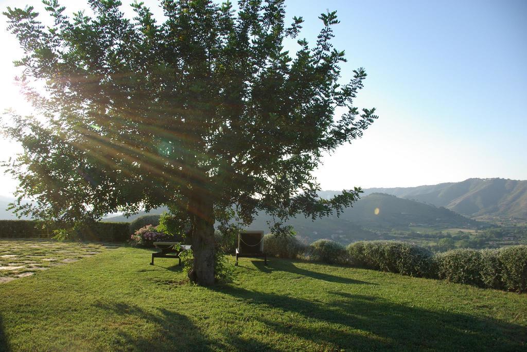 Vila Sulle Onde Della Collina Montecorice Exteriér fotografie